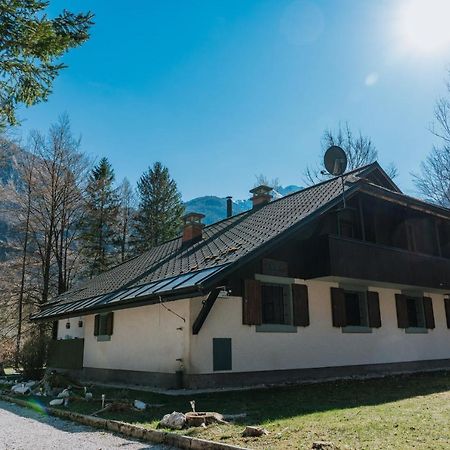 Tuba Apartments Bohinj Zewnętrze zdjęcie