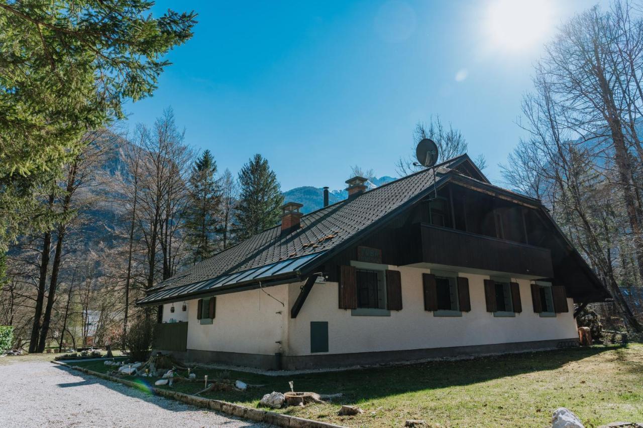 Tuba Apartments Bohinj Zewnętrze zdjęcie